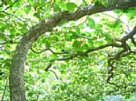 dsc01177.jpg