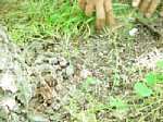 dsc01184.jpg