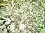 dsc01185.jpg