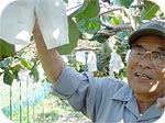 長谷川さん