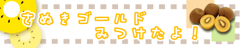 ʂS[hI