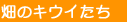 ̃LEC