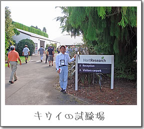 キウイの試験場