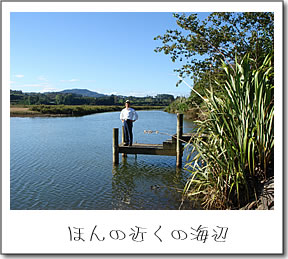 ほんの近くの海辺