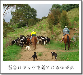 黄色いヤッケを着ているのが私